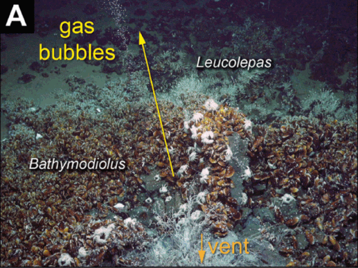 Việc kết hợp chất lỏng thủy nhiệt nóng và khí giàu methane chưa từng được ghi nhận ở bất kỳ nơi nào khác trên Trái đất. Khu vực phát hiện ra hiện tượng lạ thường này nằm dọc sườn núi lửa ngầm Conical Seamount ở vùng biển phía tây Thái Bình Dương, gần đảo Lihir của Papua New Guinea. Ảnh: Indian Defence Review.