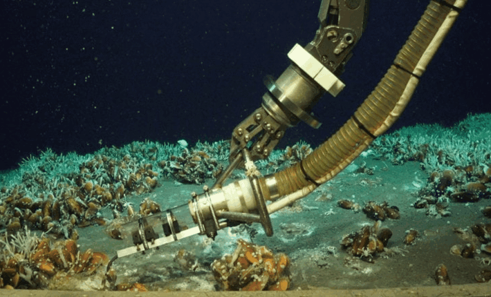 Mới đây, các nhà khoa học công bố trên tạp chí Scientific Reports về việc đã có phát hiện ngoạn mục ngoài khơi Papua New Guinea. Ở độ sâu khoảng 1.250m, họ đã tìm thấy một miệng thủy nhiệt bất thường. Đây là nơi 2 quá trình rất khác nhau diễn ra đồng thời: dòng nước nóng giàu khoáng chất trồi lên từ đáy biển, trong khi lượng lớn methane và các khí hydrocarbon khác thoát ra ngay gần đó. Ảnh: ROV Kiel 6000 / GEOMAR | Indian Defence Review.