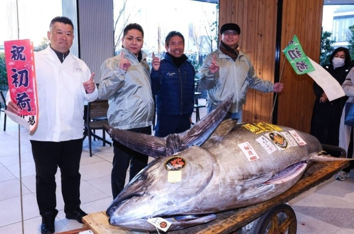 Trước đó, một số con cá ngừ được bán mức giá kỷ lục trong phiên đấu giá đầu năm tổ chức tại Nhật Bản. Trong đó, vào sáng 5/1, tại phiên đấu giá khai mạc năm 2025 ở chợ cá bán buôn Toyosu, Tokyo, một con cá ngừ vây xanh đã được bán với giá 207 triệu yen (khoảng 33,4 tỷ đồng). Ảnh: Japan Times.