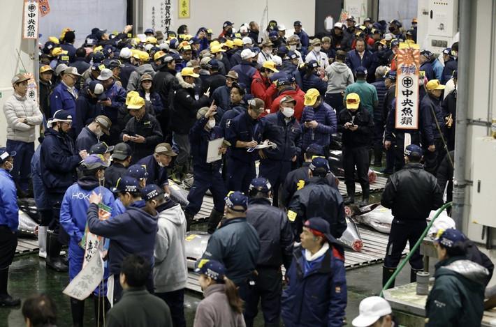 Nhà bán buôn hải sản Yamayuki và công ty điều hành chuỗi nhà hàng Sushi Ginza Onodera đã cùng phối hợp và chiến thắng trong phiên đấu giá. Các thực khách tại nhà hàng Sushi Onodera sẽ được thưởng thức món ăn từ con cá ngừ vây xanh nặng 238 kg. Ảnh: BLOOMBERG.