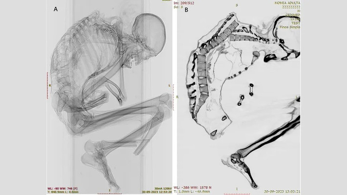 "Người thợ mỏ rất có thể đã vào hầm mỏ và dùng búa để khai thác ngọc lam. Trong trường hợp đá rơi, không có bất kỳ biện pháp bảo vệ nào cho an toàn tính mạng của người thợ mỏ", nhóm nghiên cứu cho hay. Ảnh: Francisco Garrido and Catalina Morales.