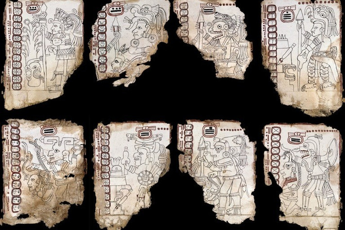Bản thảo Grolier được biết đến lần đầu tiên vào những năm 1970. Ban đầu, cuốn sách cổ của người Maya này rơi vào tay những kẻ cướp bóc. Về sau, chúng đã bán bản thảo Grolier cho một nhà sưu tập tư nhân tên là Josué Sáenz. Ảnh: Enrico Ferorelli.