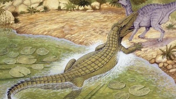 Deinosuchus "bốc hơi" trước cuộc đại tuyệt chủng cuối thời khủng long (Đại Trung Sinh). Nguyên nhân khiến loài động vật ăn thịt khổng lồ này tuyệt chủng đến nay vẫn là điều bí ẩn. Ảnh: Getty Images.