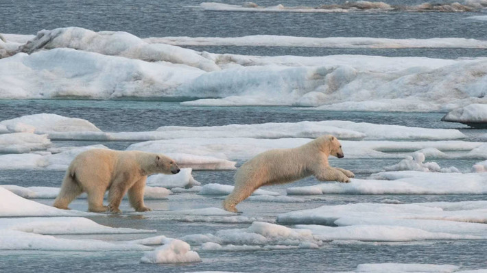 Bên cạnh sự gia tăng nhiệt độ, báo cáo của NOAA cũng chỉ ra một số hiện tượng đáng lo ngại khác. Ảnh: Acacia Johnson.