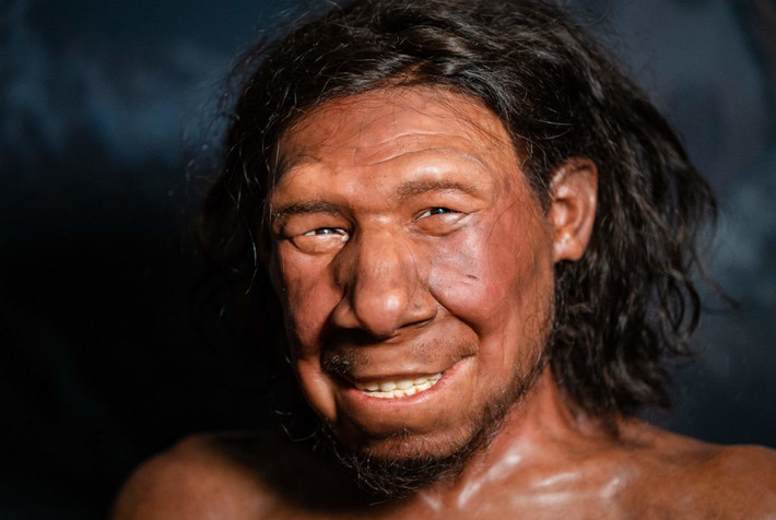 Mặc dù phần còn lại của bộ xương người Neanderthal dường như đã thích nghi với cái lạnh - với các chi ngắn hơn và vóc dáng chắc nịch hơn người hiện đại - nhưng mũi của "Người Altamura" thì không. Các nhà nghiên cứu cho hay lý do người Neanderthal có mũi to có thể không liên quan đến sự thích nghi với thời tiết lạnh giá. Ảnh: PBS.