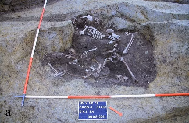Những bộ hài cốt trên được tìm thấy vào năm 2011 trong cuộc khai quật khảo cổ trước khi triển khai ​​xây dựng một trường đại học ở Osijek, nơi từng được gọi là thị trấn Mursa dưới thời Đế chế La Mã. Ảnh: PLOS One.