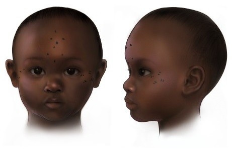 Nếu thông tin này được xác thực thì rất có thể việc xăm mình là một phần của nghi lễ rửa tội của người dân ở Nubia thời xưa. Ảnh: Mary Nguyen/©2025 UMSL.