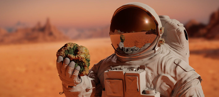 Chìa khóa chính là khả năng sản xuất các chất ngưng tụ ribonucleoprotein (RNP). Đó là các cấu trúc nhỏ, không có màng, giúp bảo vệ và tái tổ chức mRNA khi tế bào chịu áp lực. Ảnh: thenewatlantis.