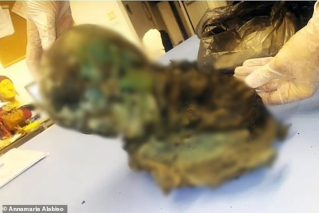 Xác ướp của một thiếu niên khoảng 12 - 14 tuổi lần đầu tiên được phát hiện ở tầng hầm của một biệt thự cổ ở Bologna, Italy vào năm 1987. Thi hài được đặt trong một chiếc hộp bằng đồng. Ảnh: Annamaria Alabiso.