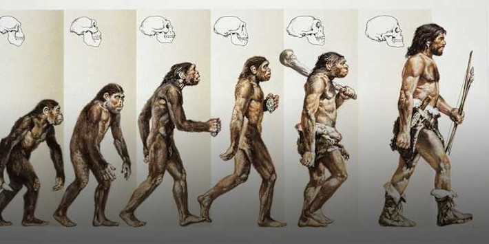 Little Foot, với niên đại gây tranh cãi từ 2,6 đến hơn 3 triệu năm, vẫn đang kiên nhẫn chờ đợi con người hiện đại giải mã hoàn toàn câu chuyện của mình, hứa hẹn sẽ tiếp tục viết lại những trang sử quan trọng về nguồn gốc nhân loại. Ảnh: DEA Picture Library/De Agostini/Getty Images.