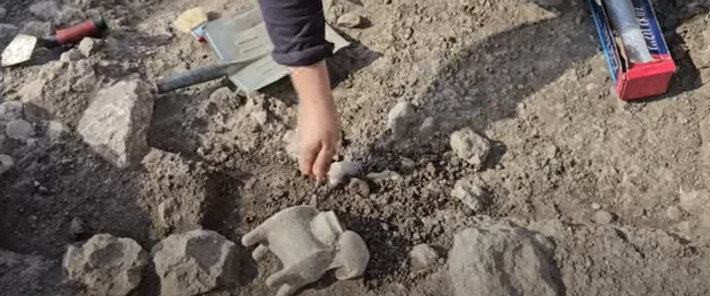 Các loài động vật như cừu, lừa và dê rất được người Canaan coi trọng. Bằng chứng là trong một phần thời kỳ Vương quốc Ai Cập cổ đại (khoảng năm 2649 trước Công nguyên đến năm 2150 trước Công nguyên), những loài động vật trên đã được nuôi ở Ai Cập và sau đó được nhập khẩu vào Canaan. Một số đã được người Canaan dùng để hiến tế. Ảnh: Israel Antiquities Authority Official Channel/Youtube.