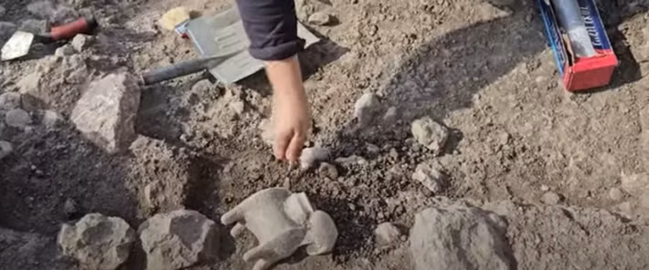 Các loài động vật như cừu, lừa và dê rất được người Canaan coi trọng. Bằng chứng là trong một phần thời kỳ Vương quốc Ai Cập cổ đại (khoảng năm 2649 trước Công nguyên đến năm 2150 trước Công nguyên), những loài động vật trên đã được nuôi ở Ai Cập và sau đó được nhập khẩu vào Canaan. Một số đã được người Canaan dùng để hiến tế. Ảnh: Israel Antiquities Authority Official Channel/Youtube.