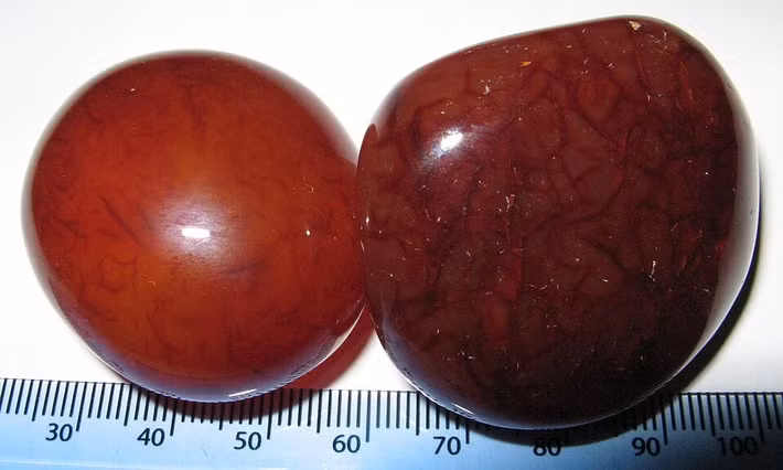 Phần trung tâm của con dấu có một mảnh đá carnelian - một loại đá bán quý màu nâu đỏ - được khắc hình ảnh một cỗ xe ngựa kéo hai con. Một người đánh xe đứng trên yên sau, cầm dây cương và roi, cho thấy người này có thể đang tham gia một cuộc đua xe cổ xưa. Ảnh: wikipedia.