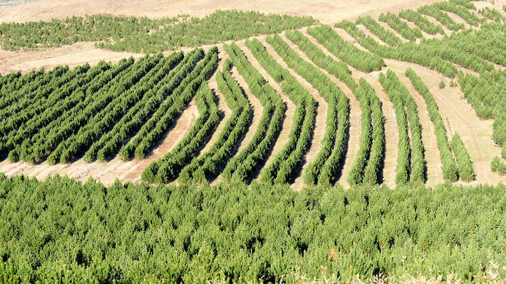 Trước những nỗ lực của Trung Quốc trong 5 thập kỷ qua, sa mạc Gobi và Taklamakan vẫn đang tiếp tục mở rộng. Trong đó, sa mạc Gobi nuốt chửng khoảng 3.600 km2 đồng cỏ của Trung Quốc mỗi năm. Ảnh: sciencephoto.com.