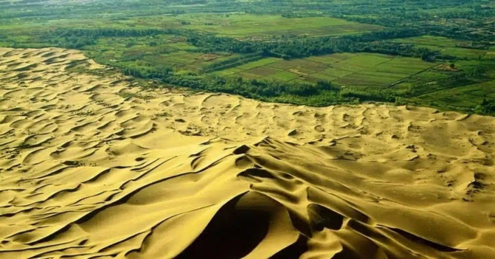 Những thay đổi này đã làm trầm trọng thêm tình trạng khô hạn vốn có của khu vực, từ đó tạo điều kiện cho nhiều cơn bão cát hơn. Bão cát thổi bay lớp đất mặt và bồi đắp cát, làm suy thoái đất và làm tăng ô nhiễm bụi mịn ở các thành phố. Ảnh: drivingeco.com.