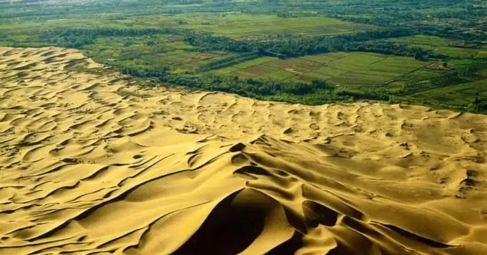 Những thay đổi này đã làm trầm trọng thêm tình trạng khô hạn vốn có của khu vực, từ đó tạo điều kiện cho nhiều cơn bão cát hơn. Bão cát thổi bay lớp đất mặt và bồi đắp cát, làm suy thoái đất và làm tăng ô nhiễm bụi mịn ở các thành phố. Ảnh: drivingeco.com.