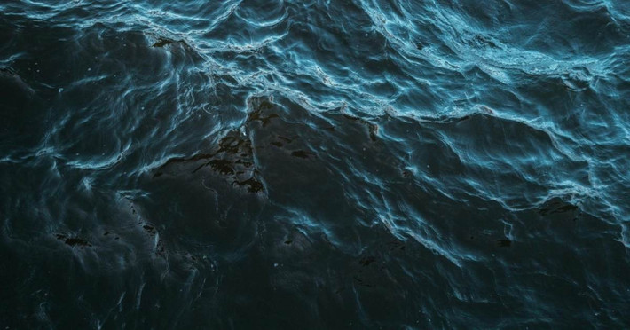 Sinh vật giống sứa lửa, có màu xanh lam đã được các chuyên gia phát hiện ngoài khơi Nhật Bản. Sự xuất hiện của loài sứa này cũng như màu xanh lam của chúng đang dấy lên lo ngại về những biến đổi nhanh chóng của đại dương đang tác động tới hệ sinh thái biển. Ảnh: goodgoodgood.co.