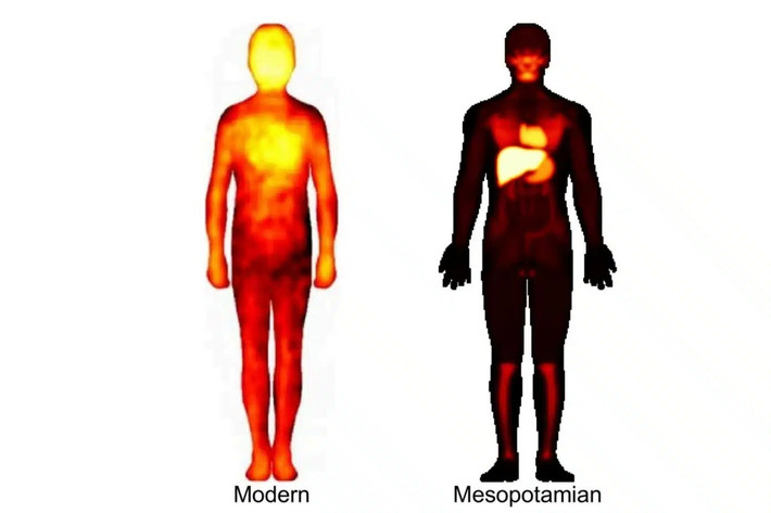 Trong nghiên cứu công bố trên tạp chí iScience, nhóm chuyên gia bao gồm: Saana Svärd, Juha Lahnakoski, Giáo sư Mikko Sams của Đại học Aalto, Ellie Bennett của Đại học Helsinki, Giáo sư Lauri Nummenmaa của Đại học Turku và Tiến sĩ Ulrike Steinert của Đại học Johannes Gutenberg Mainz đã có khám phá thú vị về cuộc sống của cư dân ở Lưỡng Hà cổ đại (ngày nay thuộc lãnh thổ Iraq). Ảnh: Juha M. Lahnakoski et. al / CC BY 4.0.