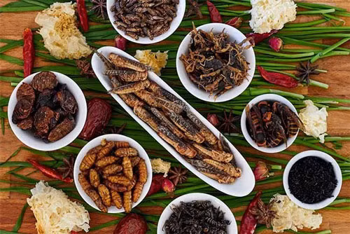 Khám phá những món ăn kỳ quái giúp phòng ngừa ung thư Kham pha nhung mon an ky quai giup phong ngua ung thu