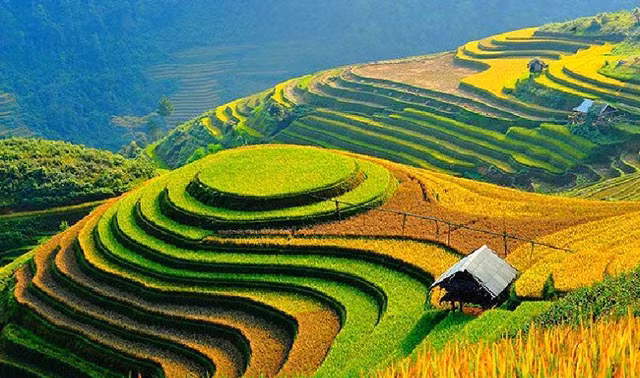 Đến Việt Nam để thưởng thức những điều cực đặc biệt này - Hình 10 Den Viet Nam de thuong thuc nhung dieu cuc dac biet nay-Hinh-10