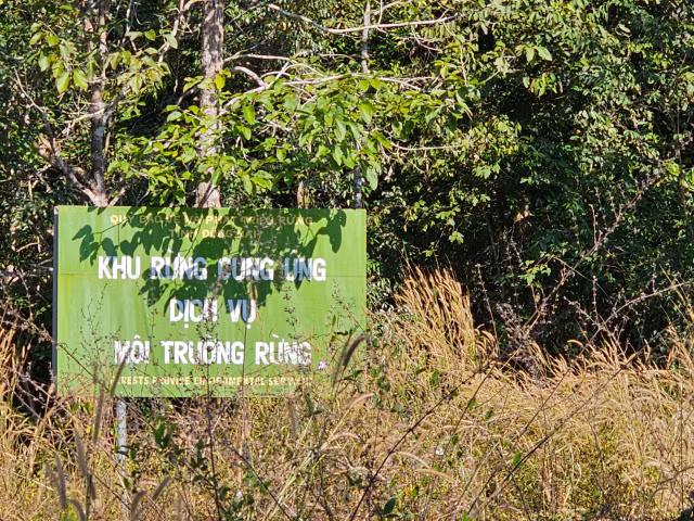 Trong 1 ngay, PVTEC trung 2 goi thau tai Khu bao ton Dong Nai-Hinh-5
