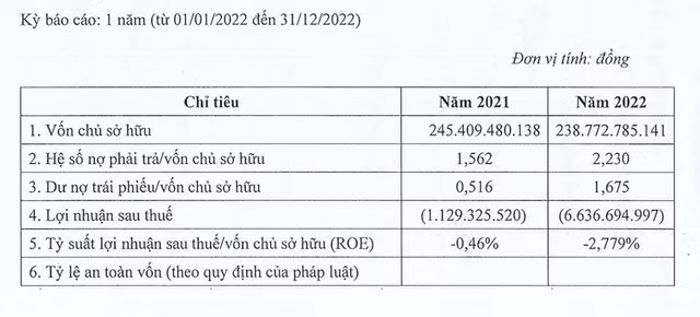 Dau tu Phuc Hau lien tiep bao lo, ganh nang trai phieu 400 ty dong-Hinh-2
