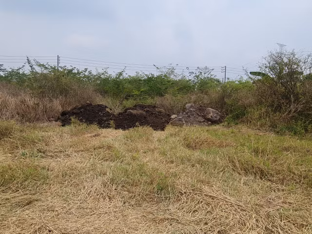 Lan theo duong di cua khoang san tai du an ho suoi Dam tinh Dong Nai-Hinh-28