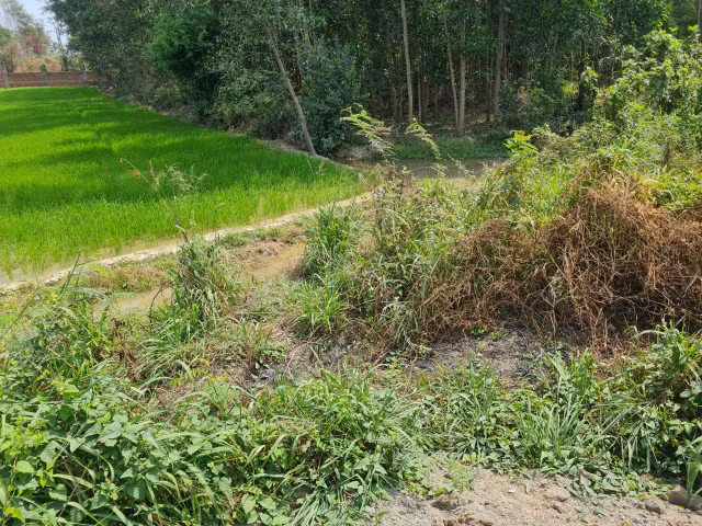 Thien Tan (Vinh Cuu, Dong Nai): “Ve quy hoach duong” chi de phuc vu phan lo dat nong nghiep?-Hinh-7