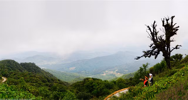 Tận mục kho báu hiếm có ở Công viên địa chất Non nước Cao Bằng - Hình 15 Tan muc kho bau hiem co o Cong vien dia chat Non nuoc Cao Bang-Hinh-15