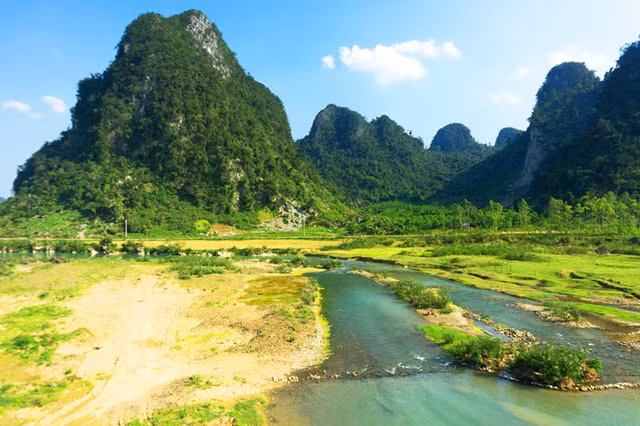 Những loài đặc hữu hiếm có ở vườn quốc gia Vũ Quang Nhung loai dac huu hiem co o vuon quoc gia Vu Quang