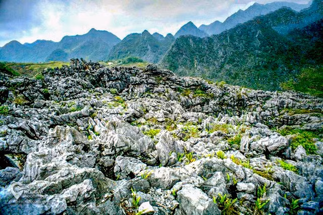 Khám phá Cao nguyên đá Đồng Văn - Hình 3 Kham pha Cao nguyen da Dong Van-Hinh-3