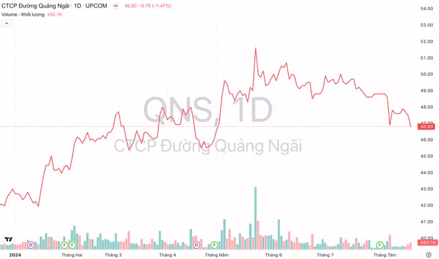 Đường Quảng Ngãi (QNS) sắp chi 268 tỷ đồng tạm ứng cổ tức bằng tiền - Hình 4 Duong Quang Ngai (QNS) sap chi 268 ty dong tam ung co tuc bang tien-Hinh-4