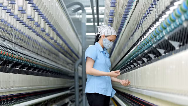 Det may Damsan du chia co tuc ty le 10% du loi nhuan di lui