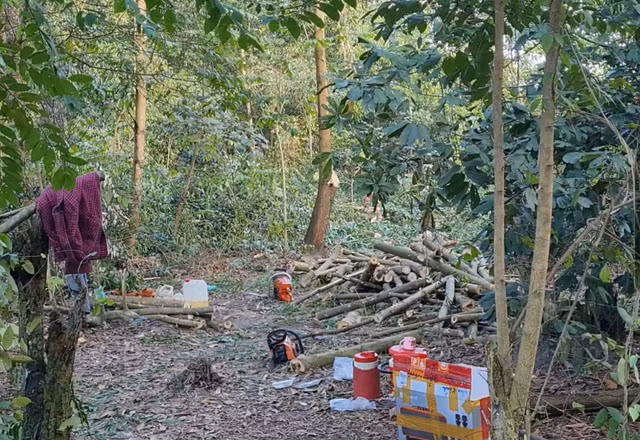 Biên Hòa (Đồng Nai): Rừng phòng hộ Biên Hòa tiếp tục bị “đục phá”? - Hình 2 Bien Hoa (Dong Nai): Rung phong ho Bien Hoa tiep tuc bi “duc pha”?-Hinh-2