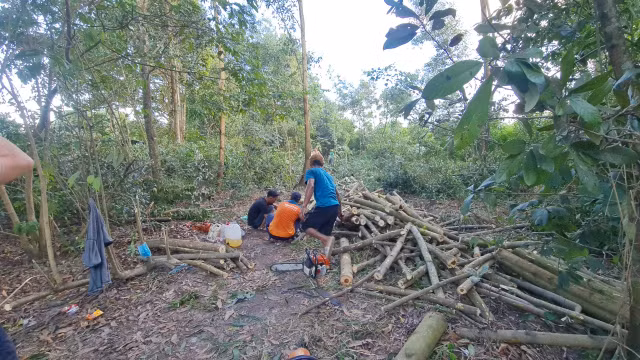 Biên Hòa (Đồng Nai): Rừng phòng hộ Biên Hòa tiếp tục bị “đục phá”? - Hình 3 Bien Hoa (Dong Nai): Rung phong ho Bien Hoa tiep tuc bi “duc pha”?-Hinh-3