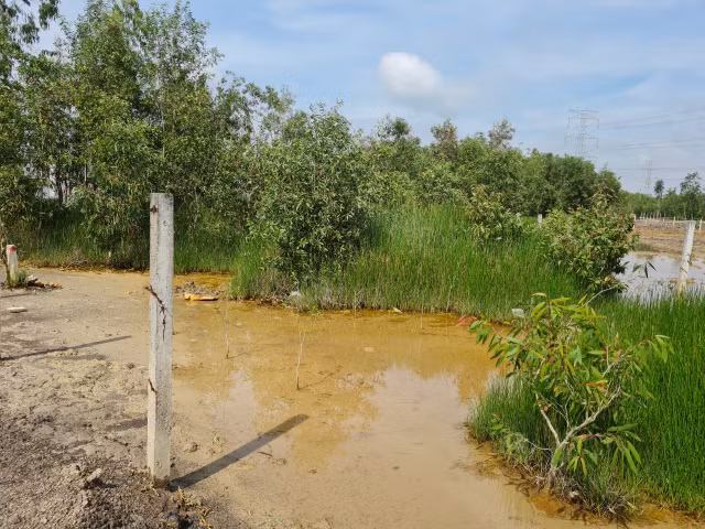 Nhơn Trạch (Đồng Nai): “Gồng mình” xử lí hậu cấp GCNQSDĐ chồng lấn ranh - Hình 6 Nhon Trach (Dong Nai): “Gong minh” xu li hau cap GCNQSDD chong lan ranh-Hinh-6