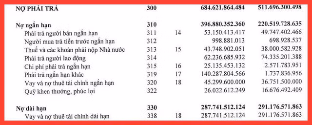 Nợ tăng vọt đằng sau lợi nhuận 150 tỷ đồng của Cảng Đà Nẵng - Hình 2 No tang vot dang sau loi nhuan 150 ty dong cua Cang Da Nang-Hinh-2
