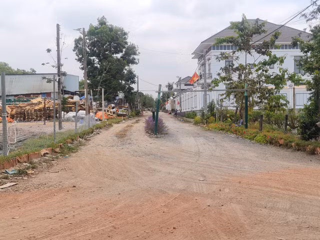 Long Thanh (Dong Nai): Xu ly bai tap ket phe lieu trai phep ra sao?-Hinh-12