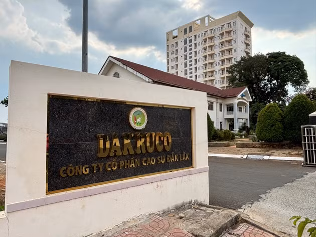 Dau tu Cao su Dak Lak cho Dakruco gia han thanh toan no-Hinh-2