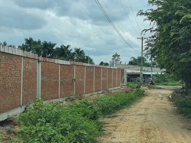 Vì sao dự án Cụm công nghiệp Tam An chậm tiến độ hơn 1 thập kỷ vẫn chưa bị thu hồi? - Hình 3 Vi sao du an Cum cong nghiep Tam An cham tien do hon 1 thap ky van chua bi thu hoi?-Hinh-3