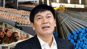 Vietcap mạnh tay rót 300 tỷ ôm 23% vốn IPO Hòa Phát HPA