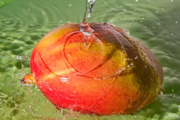 Cuc luu y ly do nen ngam xoai trong nuoc truoc khi an