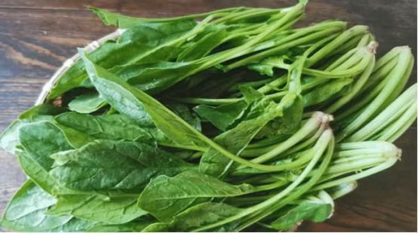 Luu y loai rau chua purin, khong tot cho than-Hinh-5