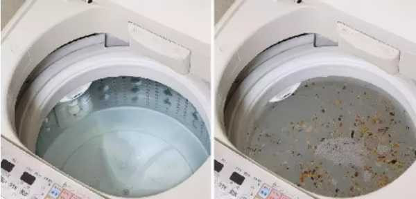 Kinh hãi 3 vật dụng trong nhà là ổ chứa vi khuẩn, bẩn hơn cả bồn cầu - Hình 3 Kinh hai 3 vat dung trong nha la o chua vi khuan, ban hon ca bon cau-Hinh-3