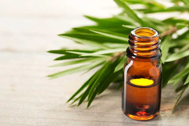 Loại bỏ hoàn toàn mụn thịt xấu xí từ những nguyên liệu thiên nhiên - Hình 2 Loai bo hoan toan mun thit xau xi tu nhung nguyen lieu thien nhien-Hinh-2