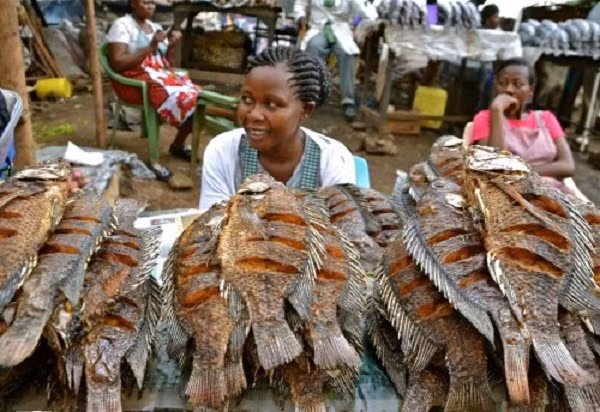 Vi sao dan ngheo Chau Phi che hai san?-Hinh-3