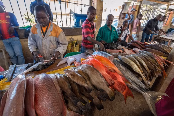 Vi sao dan ngheo Chau Phi che hai san?