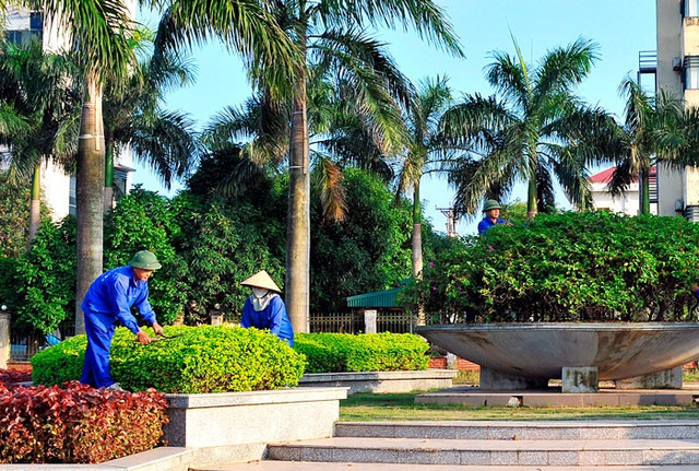 Công ty TNHH Cây xanh Công Minh có tỷ lệ trúng thầu cao đến 'bất thường' Cong ty TNHH Cay xanh Cong Minh co ty le trung thau cao den 'bat thuong'