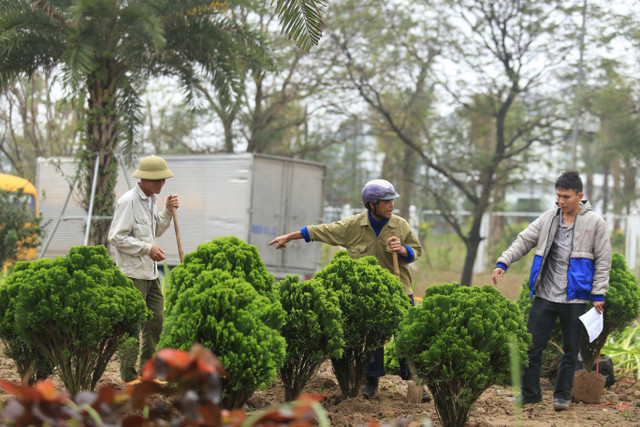 Truoc them Hoi nghi Thuong dinh My-Trieu: Ha Noi rop co hoa, bang ron-Hinh-7