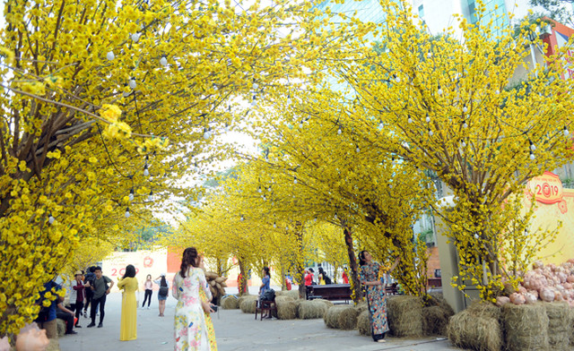 Phố ông Đồ vàng rực, thu hút giới trẻ đến "check in" dịp Tết Nguyên đán - Hình 5 Pho ong Do vang ruc, thu hut gioi tre den